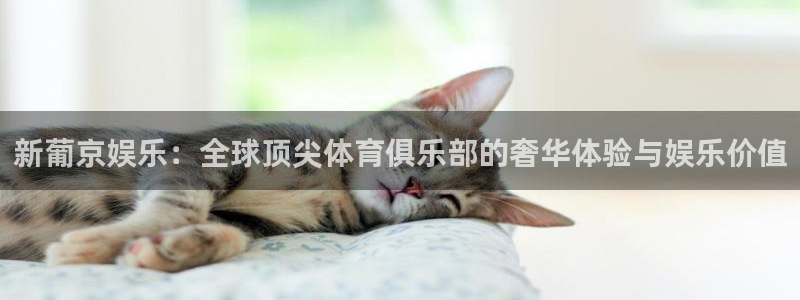 长征娱乐：新葡京娱乐：全球顶尖体育俱乐部的奢华体验与娱乐价值