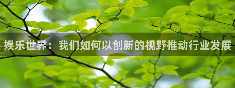 长征娱乐登录：娱乐世界：我们如何以创新的视野推动行业发展