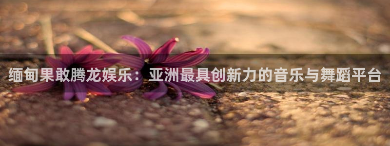 长征娱乐平台注册：缅甸果敢腾龙娱乐：亚洲最具创新力的音乐与舞蹈平台
