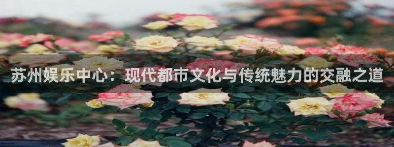 长征娱乐登录：苏州娱乐中心：现代都市文化与传统魅力的交融之道