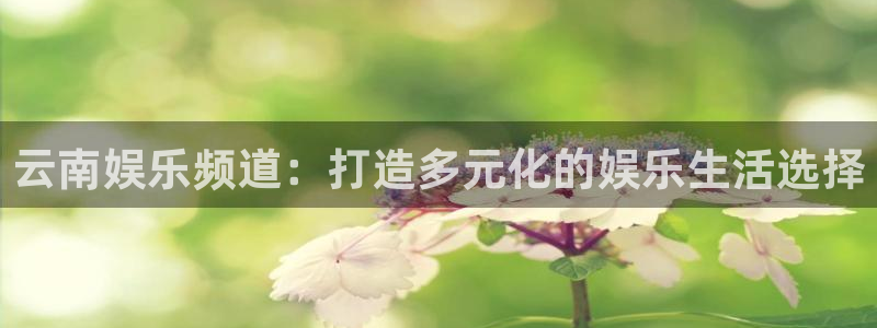 长征娱乐平台注册：云南娱乐频道：打造多元化的娱乐生活选择