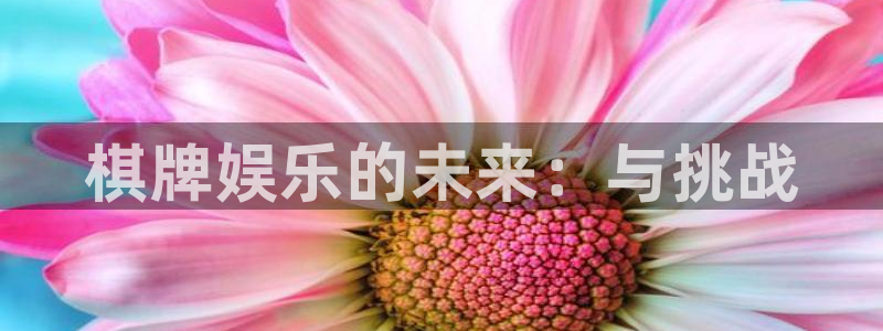 长征娱乐主管：棋牌娱乐的未来：与挑战