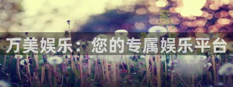 长征娱乐登录：万美娱乐：您的专属娱乐平台