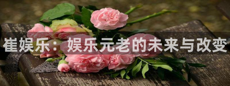 长征娱乐登录：崔娱乐：娱乐元老的未来与改变