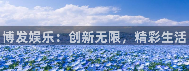 长征娱乐主管：博发娱乐：创新无限，精彩生活