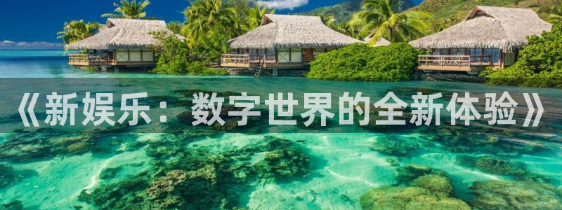 长征娱乐主管：《新娱乐：数字世界的全新体验》